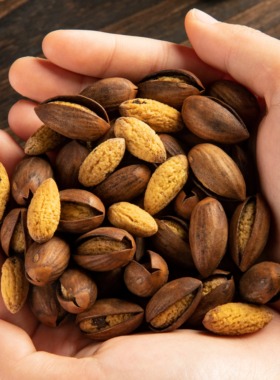 【赵家千年】开口香榧子2025新货诸暨特产250g/罐净重开口特好剥