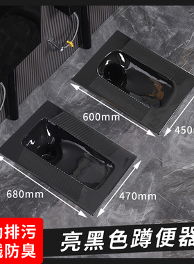 黑色蹲便器蹲坑式带存水弯防臭蹲坑家用落地冲水箱隐藏水箱整套装