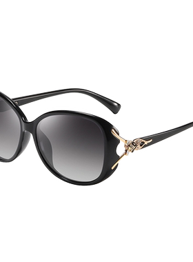 大脸新款时尚韩版潮复古太阳镜