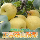 现摘 10斤水果安徽正宗砀山酥梨产地直发整箱应季 梨子新鲜脆甜 包邮