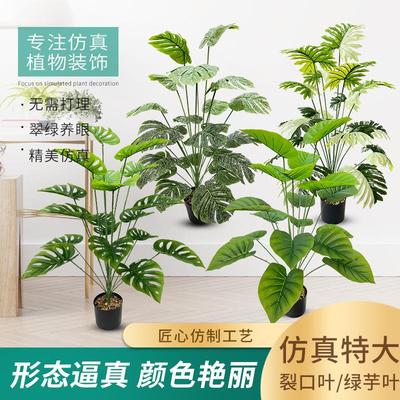 仿真绿植裂口叶绿芋叶客厅家居装饰落地摆件假植物春雨叶仿真龟背