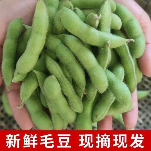 新鲜豆类