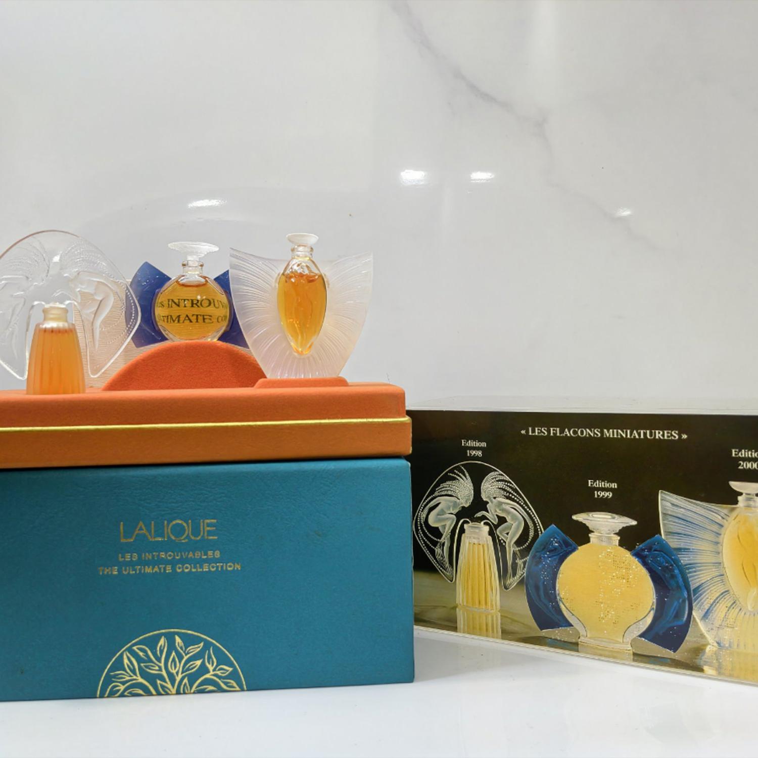 魅力百叶蔷薇丰收系列含羞草爱慕