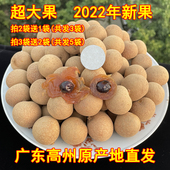 广东高州老树桂圆干龙眼干果超大肉厚香甜茂名广高杨家新货200g袋