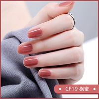 CF19 Maple Honey