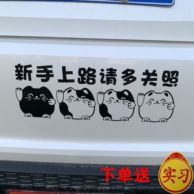 新手上路车贴创意新手后挡玻璃