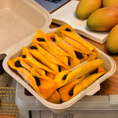 这一口锁死 芒果夹乌梅卷干果肉酸甜零食网红解馋小包装