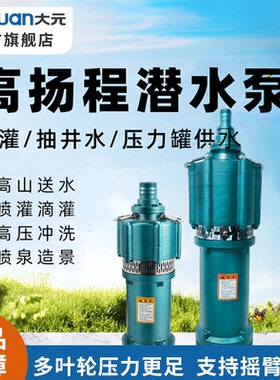 大元多级潜水泵家用大流量农用灌溉高扬程单相220V高压喷泉泵QD