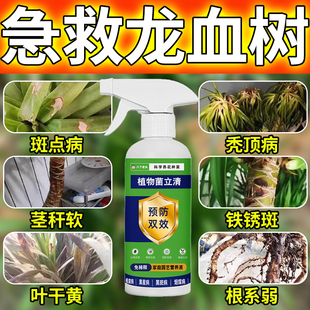 龙血树专用药治叶子发黄枯叶烂根干尖叶斑病专用营养液肥料除菌剂