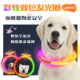 QZee狗狗发光项圈LaRoo莱诺夜间遛狗防走丢防水全亮光安全荧光圈