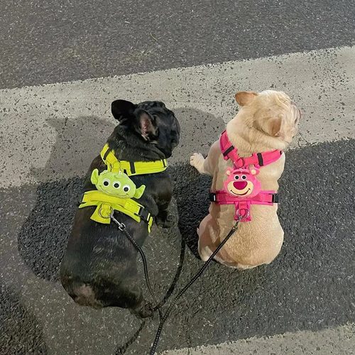 日本进口Hakusan狗狗胸背零压力