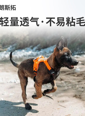 QZee挪威Nonstop朗斯拓兰布拉牵引H胸背带宠物可调节反光背心犬绳