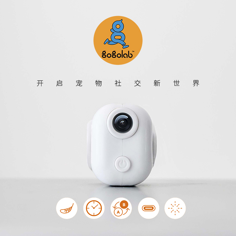 gogolab投影灯挂牌夜行防走丢