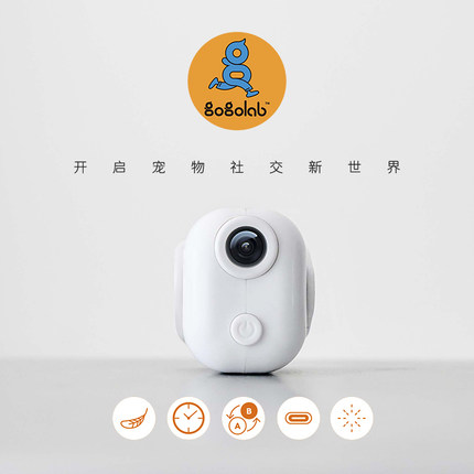 Gogolab宠物社交投影灯挂牌LED灯狗狗夜行防走丢晚上遛狗灯铭牌