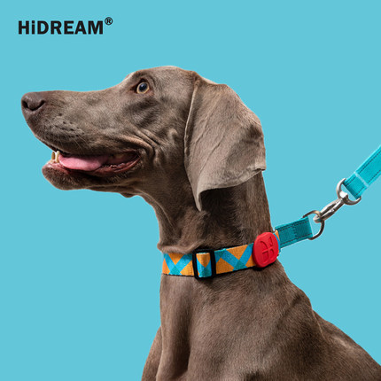 QZee清仓特惠Hidream狗项圈半P链牵引缓冲调节小中大型犬金毛柯基