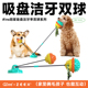 QZee狗狗吸盘漏食球玩具磨牙洁齿耐咬橡胶球小中大型犬解闷互动棒