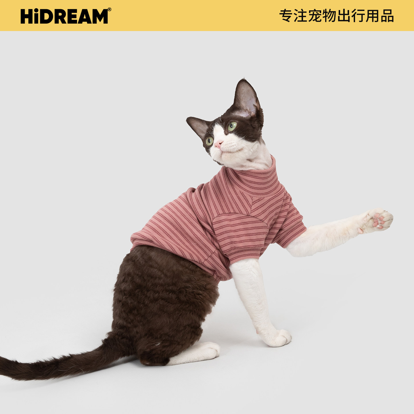 HiDREAM斯芬克斯猫保暖打底衫