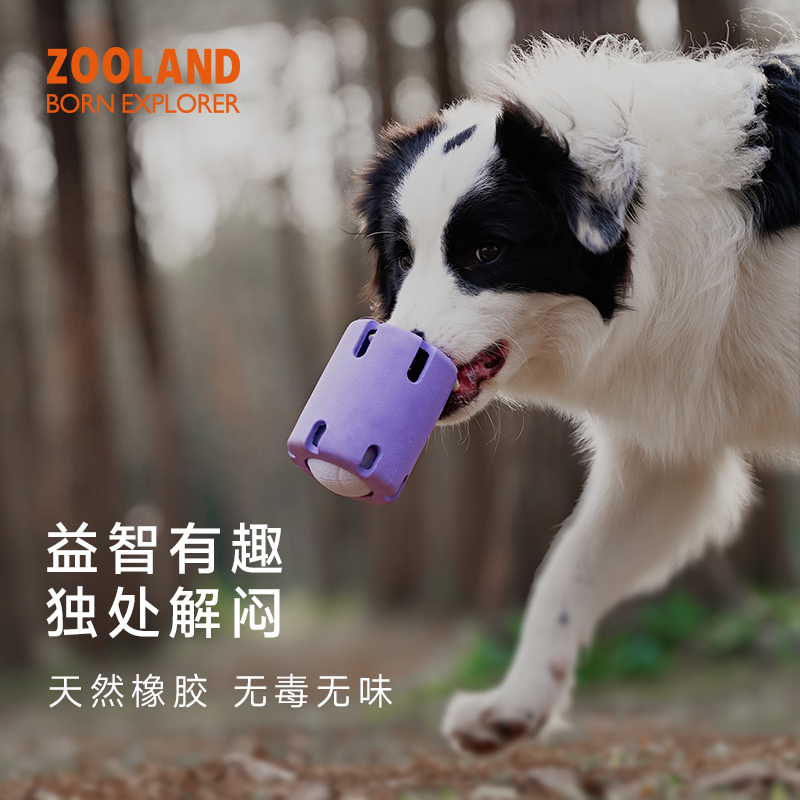 ZOOLAND丰荣漏食咬不坏狗狗玩具
