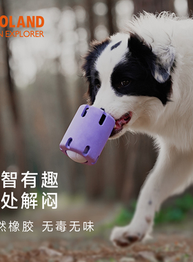 QZee丰荣漏食咬不坏狗玩具ZOOLAND益智磨牙耐咬藏食解闷中大型犬