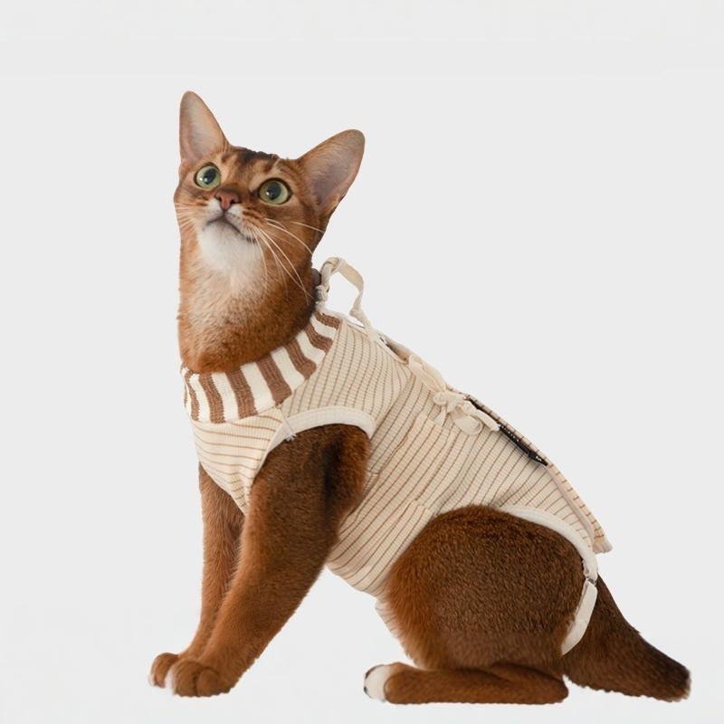 HiDREAM猫咪绝育服母猫断奶服