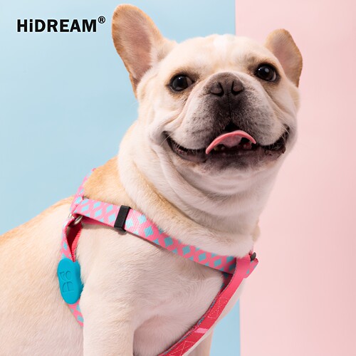 HiDREAM快穿Y型狗胸背结实可调节