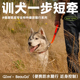 QZee防水短牵便携随行BeauGo橡胶宠物狗牵引绳小中大型犬训练一步