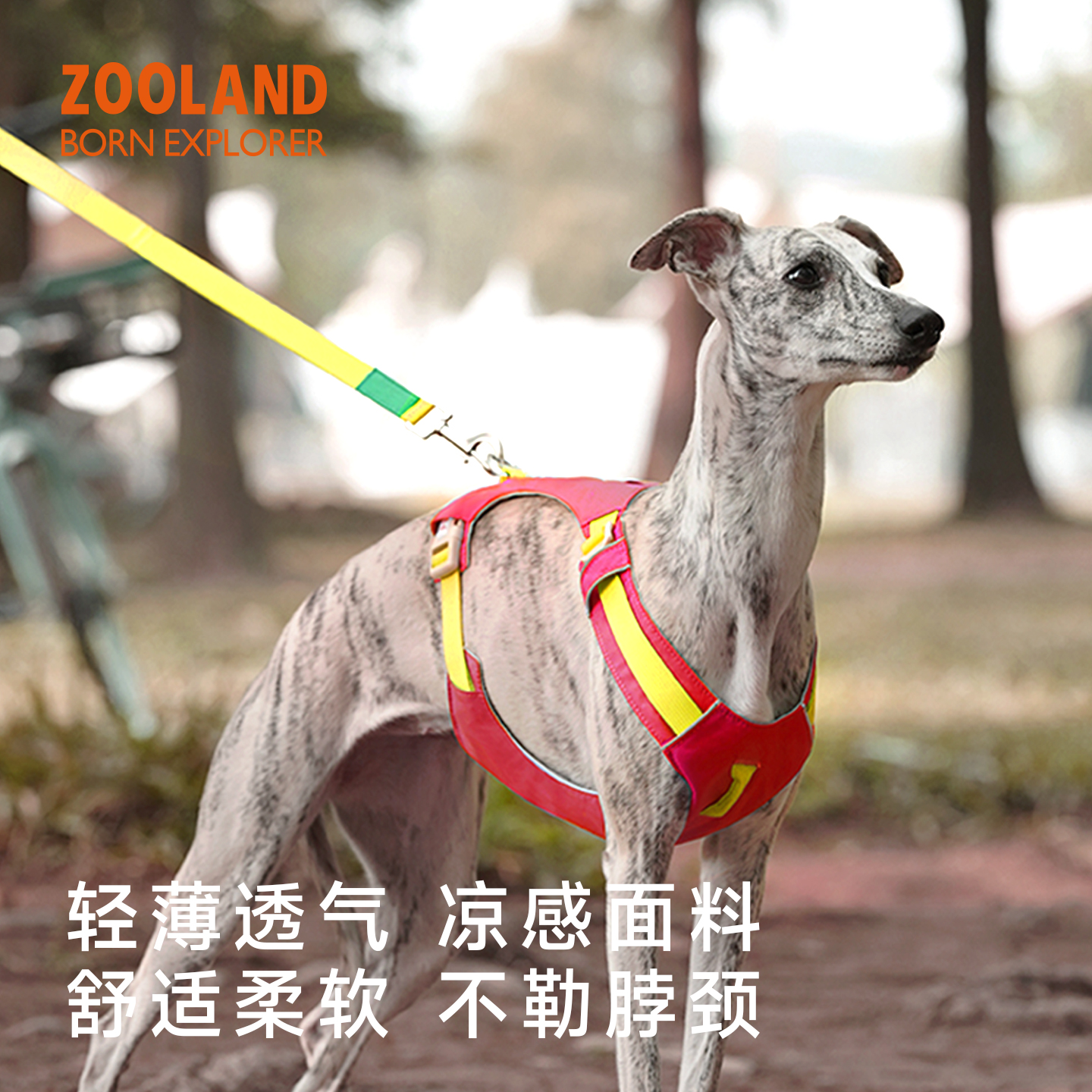 ZOOLAND狗胸背牵引绳防爆冲挣脱