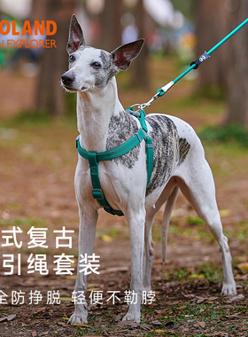 QZee狗狗胸背ZOOLAND牵引绳遛狗小中大型犬泰迪柯基贴身不勒脖