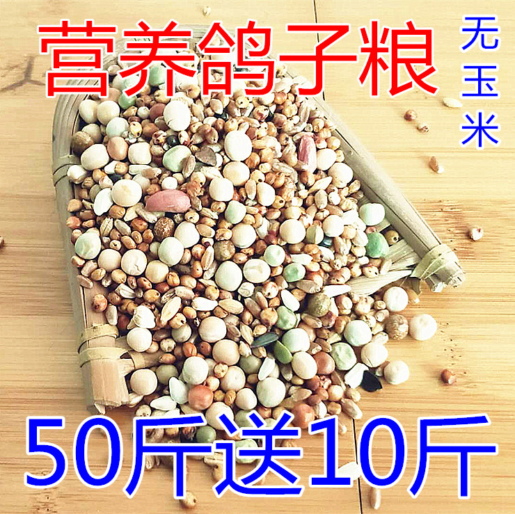 50斤鸽粮送10斤无玉米幼鸽肉鸽
