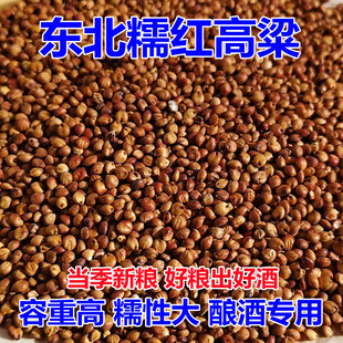 糯高粱东北糯红高粱酿酒专用带皮黏高粱100斤去壳粘高粱米做粑粑