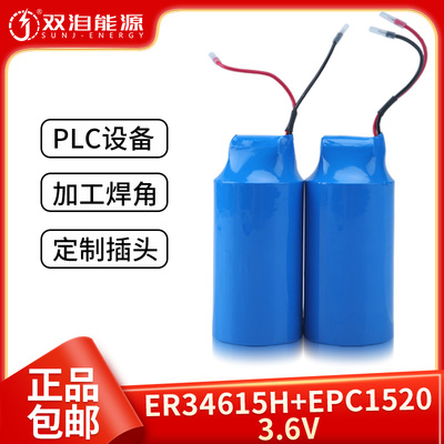 智能水表/流量计/定位器电池