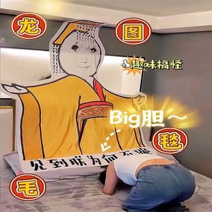 大胆龙图毯子午睡毯搞怪见朕为何不跪皇帝皇上搞笑龙袍表情包午休