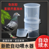 鸽子饮水器下料喂食器鸟类食槽水盒芦丁鸡自动饮水器喂食器喂水壶