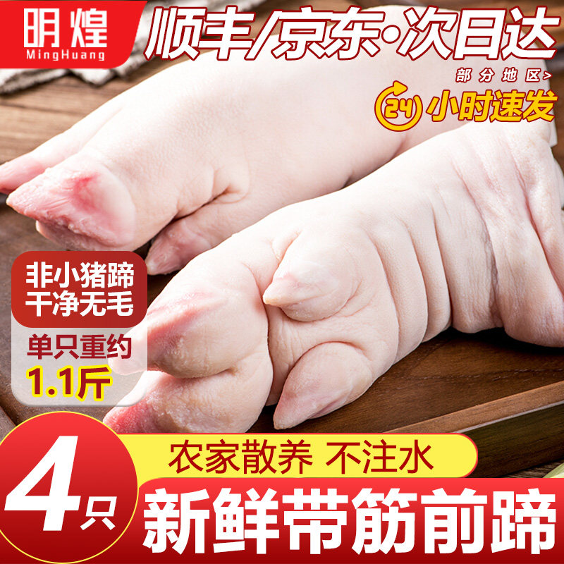 带筋纯前蹄 现杀土猪蹄整只新鲜散养农家带筋猪蹄子猪手前蹄猪脚