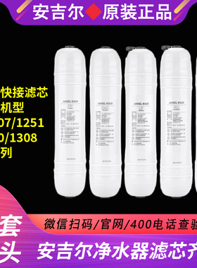 原装安吉尔韩式快接滤芯J1207/J1308/J2377-ROB8/J1100/1251滤芯