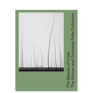 Lines英文艺术家艺术工作室Tatyana 书 线条之美吉尔曼与冈萨雷斯 进口原版 Scheidegger Franck精装 Beauty 法亚收藏The 预售