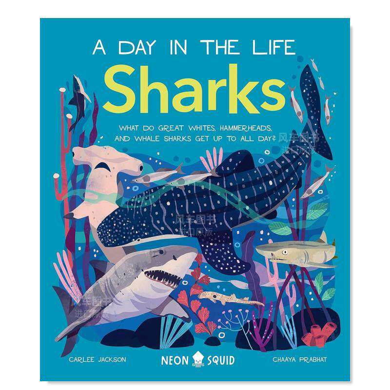 【预 售】【动物的一天】鲨鱼英文儿童绘本知识百科进口原版图书【a