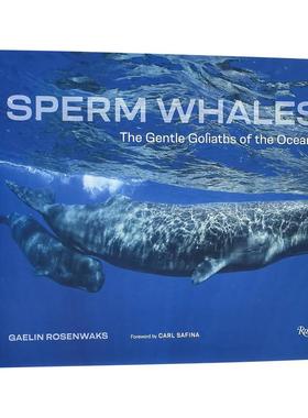 【现货】抹香鲸 海洋中温柔的歌利亚Sperm Whales 英文摄影集自然景观Gaelin Rosenwaks精装Rizzoli进口原版书9780847872329
