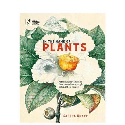 【现货】以植物之名 植物命名者的故事In the Name of Plants英文社会科学Sandra Knapp精装Natural History Museum进口原版书978