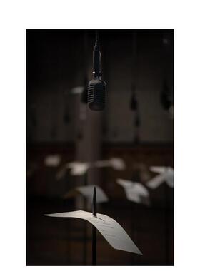 【预售】希尔帕古普塔夜晚的太阳Shilpa Gupta英文博物馆展览私人收藏画册Ridinghouse精装进口原版书9781909932654