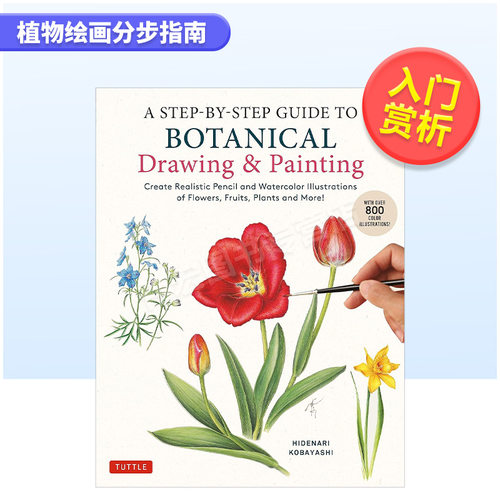 【现货】植物绘画分步指南英文艺术技法与入门赏析进口原版图书A Step-by-Step Guide to Botanical Drawing & Painting简装Hidena