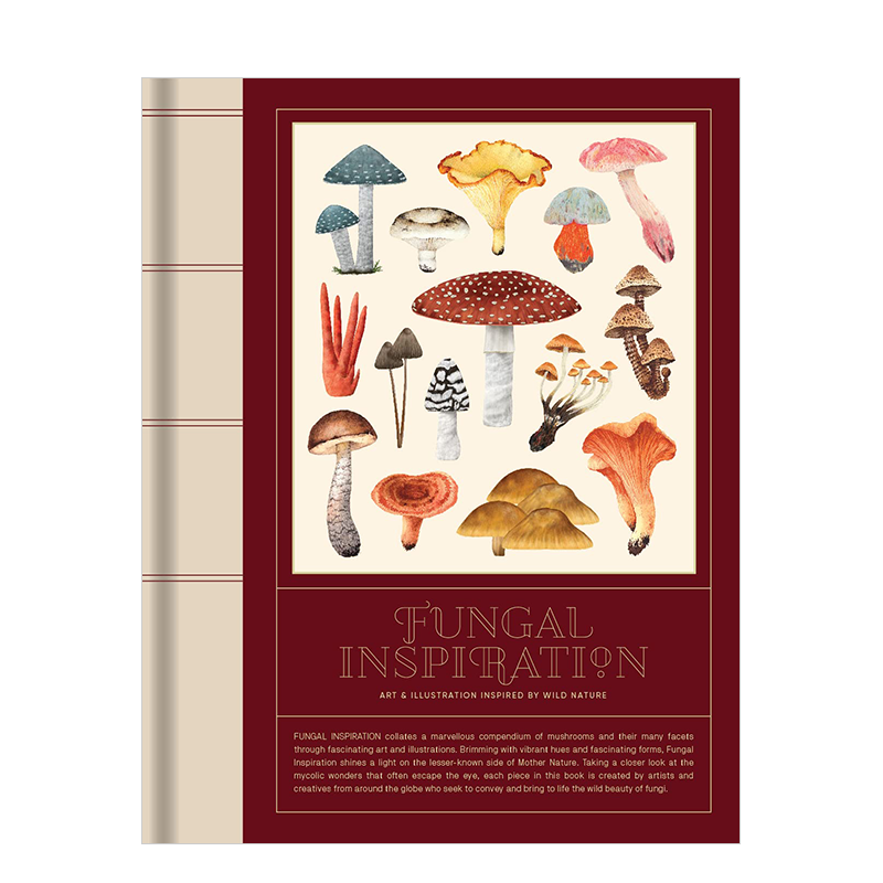 菌菇灵感：野生自然艺术插画