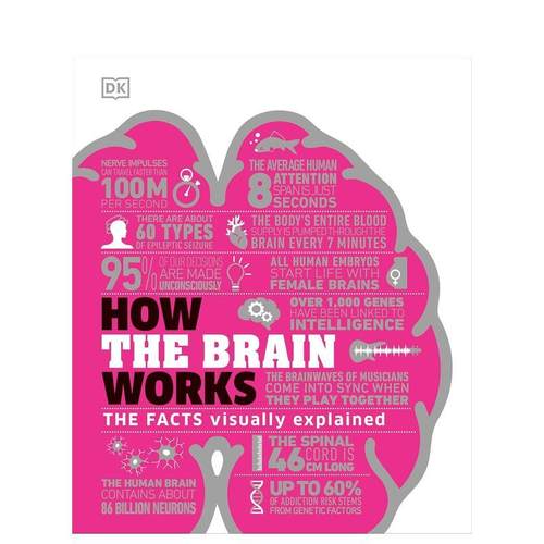 【DK万物运转原理】大脑运作原