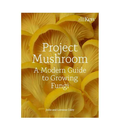 蘑菇计划 Project Mu