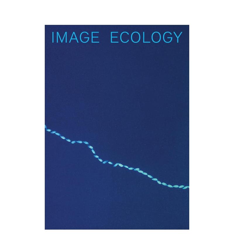 【预售】图像生态英文摄影集综合作品进口原版书Image Ecology简装Boaz Levin著Spector Books-封面