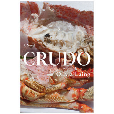 【现货】克鲁多英文文学小说精装进口原版外版书籍Crudo Olivia Laing