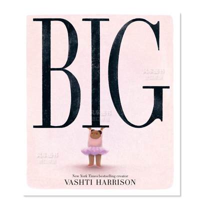 【现货】 【2024凯迪克金奖】大大女孩（美版）英文儿童绘本自我认知情绪管理进口原版书Big精装Vashti Harrison Little, Brown Bo