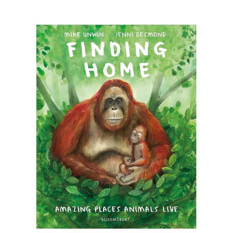 寻找家园 Finding Ho