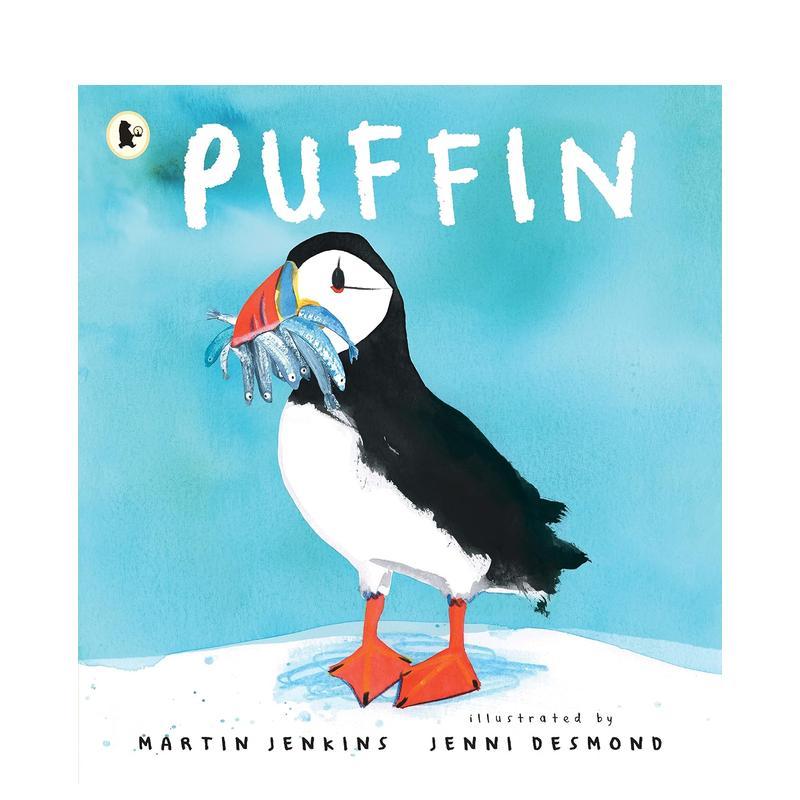 海雀 Puffin 原版英文儿