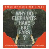 Ears?英文儿童绘本动物生态环保Steve 现货 Have Jenkins精装 为什么大象有大耳朵Why 9岁进口原版 Elephants Big 书978031